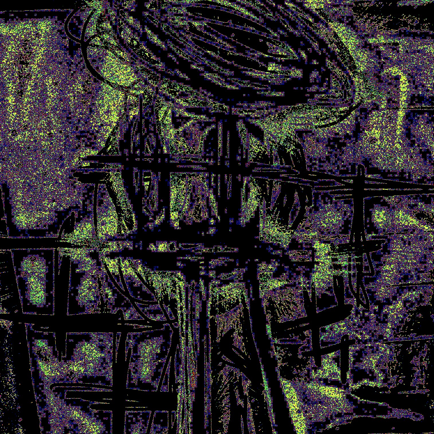 SELF PORTRAIT 1